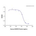 Recombinant Human IGFBP5 Protein
