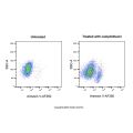 Annexin V-AF350
