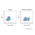 Annexin V-AF405