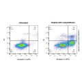 Annexin V-APC