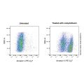 Annexin V-PE-Cy7