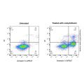 Annexin V-AF647