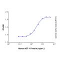 Recombinant Human IGF-I/IGF-1 Protein