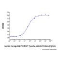 Recombinant Human NRG1-beta 1/HRG1-beta 1 EGF Domain Protein