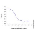 Recombinant Human IFN-gamma Protein