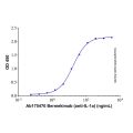 Recombinant Human IL-1 alpha/IL-1F1 Protein