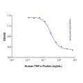 Recombinant Human TNF-α Protein