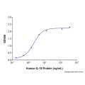 Recombinant Human IL-18 Protein