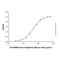Recombinant Human Sonic Hedgehog Protein