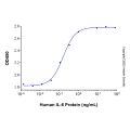 Recombinant Human IL-6 Protein