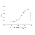 Recombinant Human M-CSF Protein