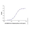 Recombinant Human Sonic Hedgehog Protein