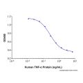 Recombinant Human TNF-α Protein
