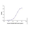 Recombinant Human IL-23 Protein