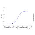 Recombinant Human IL-17A & IL-17F Protein 