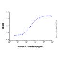 Recombinant Human IL-2 Protein