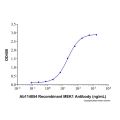 Recombinant Human MEK1 Protein