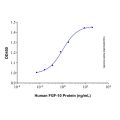Recombinant Human FGF-10 Protein