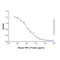 Recombinant Mouse TNF-α Protein