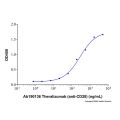 Recombinant Human CD28 Protein