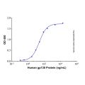 Recombinant Human IL-6 & IL-6R alpha Protein