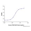 Recombinant Human PDGF-AB Protein