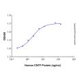 Recombinant Human CNTF Protein