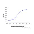 Recombinant Human IL-6 Protein