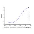 Recombinant Human Follistatin Protein