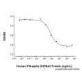 Recombinant Human IFN-alpha G/IFNA5 Protein