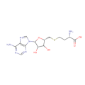 S-(5’-腺苷)-L-高半胱氨酸(SAH)