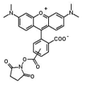 5(6)-TAMRA, 5(6)-羧基四甲基罗丹明琥珀酰亚胺酯