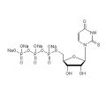 2-ThioUTP tetrasodium salt,P2Y2激动剂