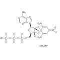 TNP-ATP triethylammonium salt