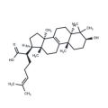 Trametenolic acid