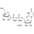 尿苷-5′-二磷酸葡萄糖 二钠盐水合物 