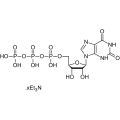 XTP三乙胺盐(水溶液)