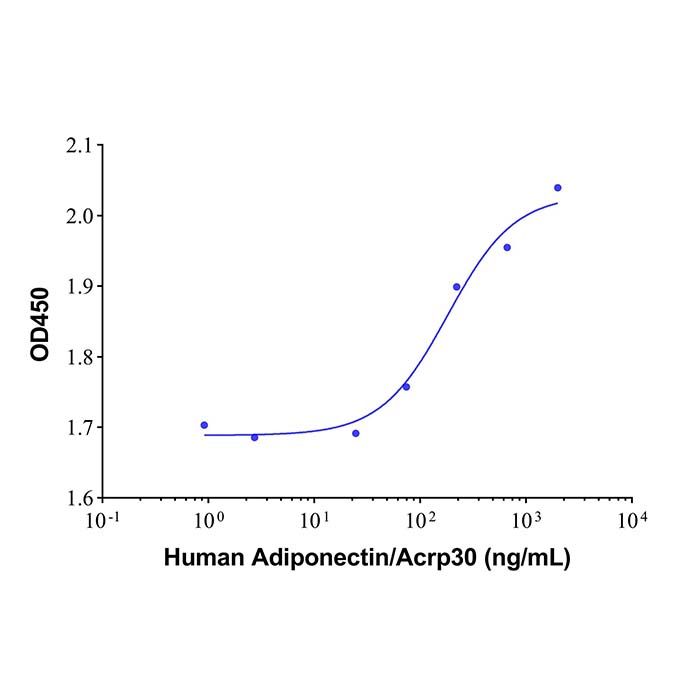 Recombinant Human Adiponectin/Acrp30 Protein