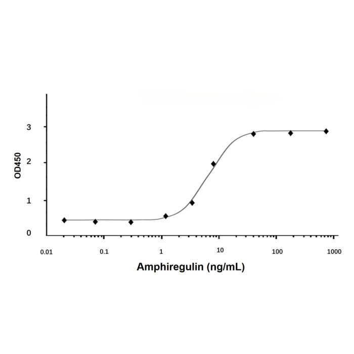 Recombinant Human Amphiregulin Protein