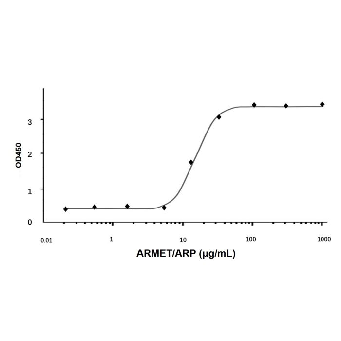 Recombinant Human ARMET/ARP Protein