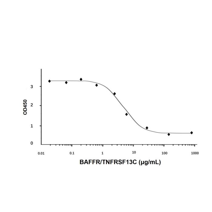 Recombinant Human BAFFR/TNFRSF13C Protein