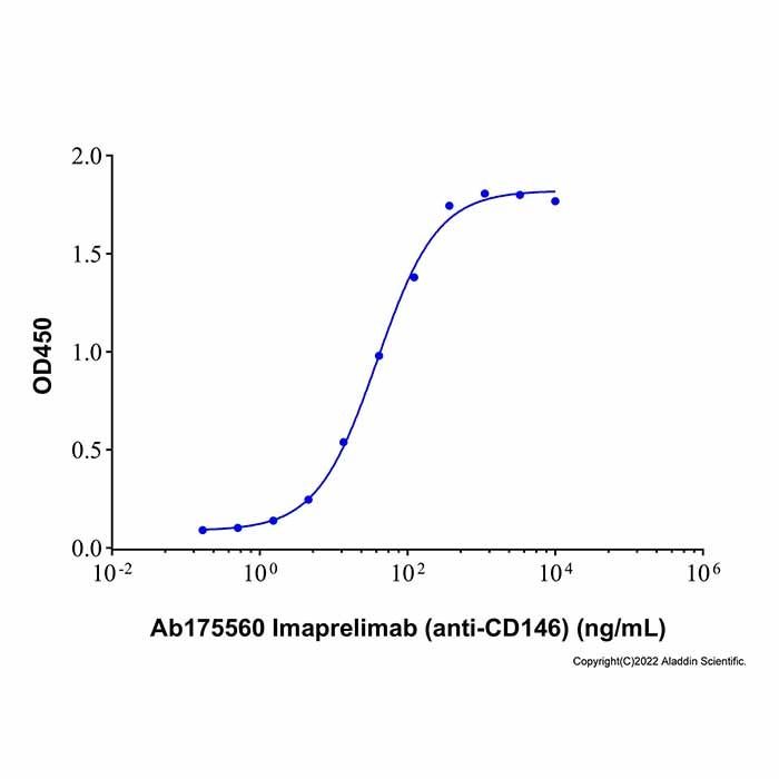 Recombinant Human MCAM/CD146 Protein