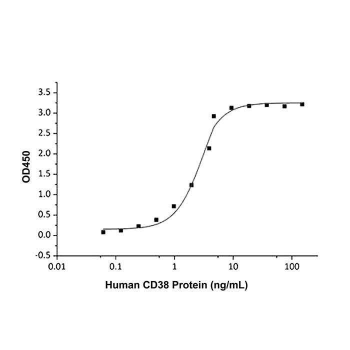 Recombinant Human CD38 Protein