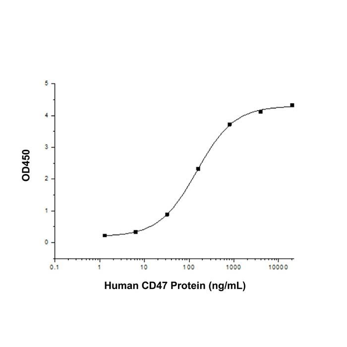Recombinant Human CD47 Protein