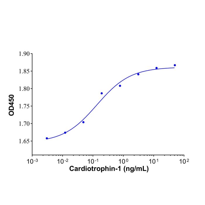 Recombinant Human Cardiotrophin-1 Protein