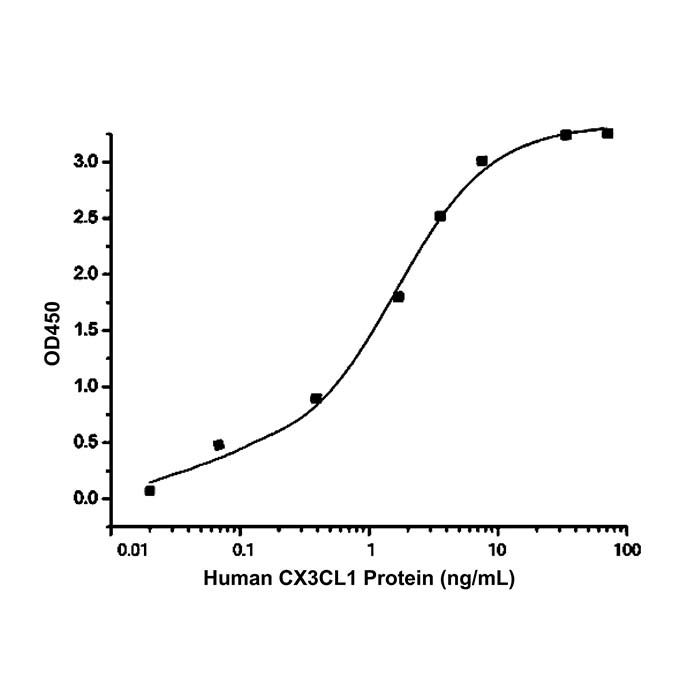 Recombinant Human CX3CL1 Protein