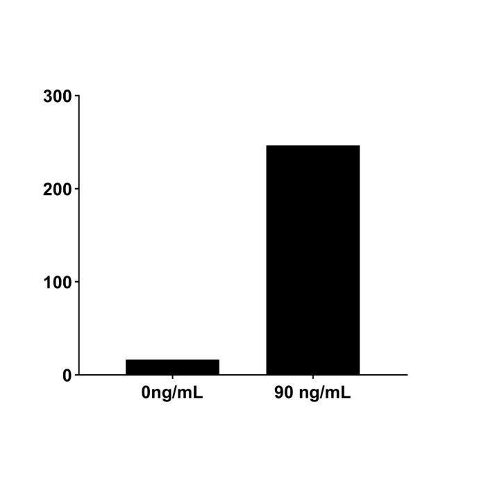 Recombinant Human CXCL5 Protein