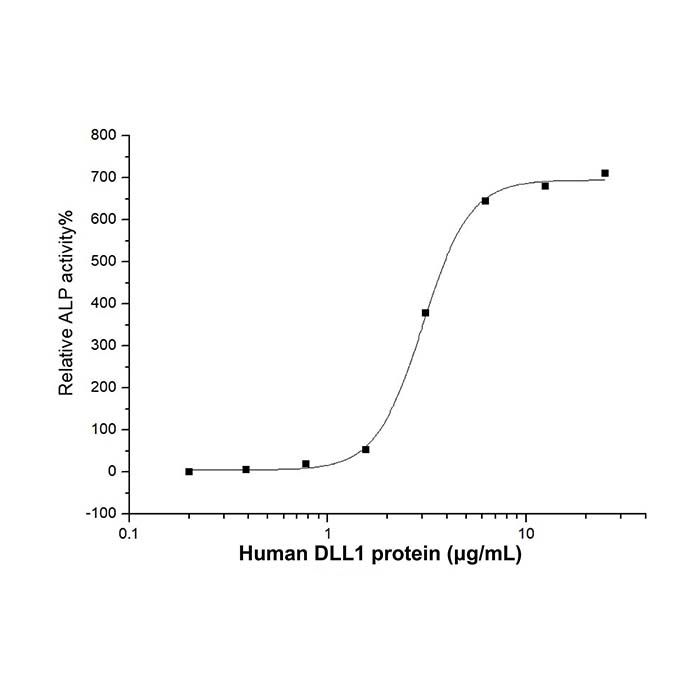 Recombinant Human DLL1 Protein