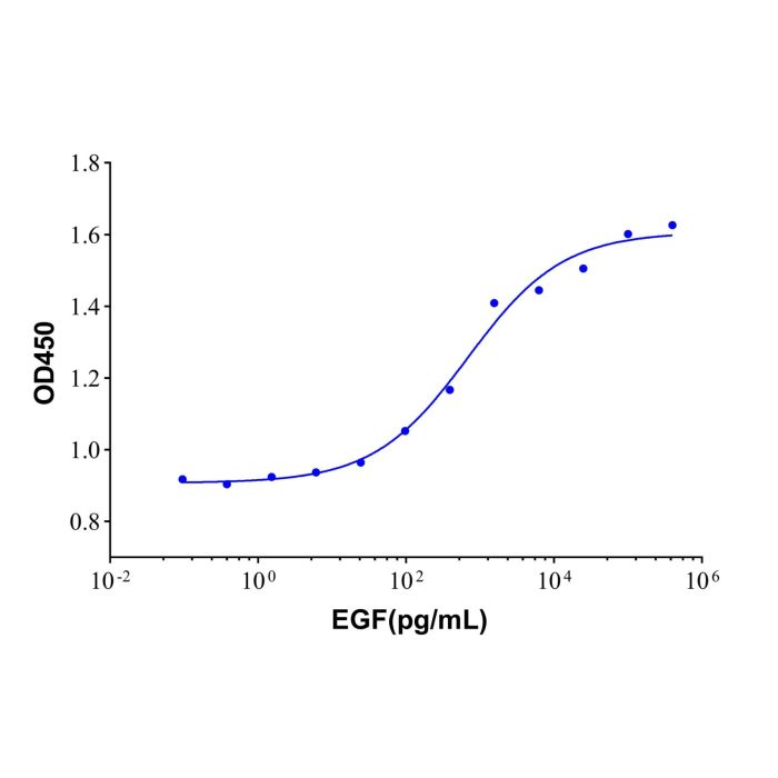 Recombinant Human EGF Protein