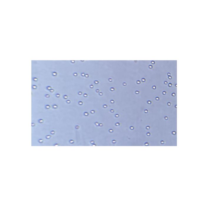 Recombinant Human EpCAM Protein
